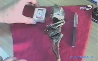 Карлик — Старинный английский сонник Зэдкиеля Карлик — Старинный английский сонник Зэдкиеля
