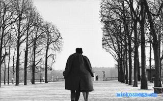 Горло — Старинный французский сонник Горло — Старинный французский сонник