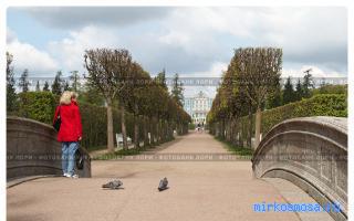 Женщины — Старинный французский сонник Женщины — Старинный французский сонник