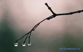 Оттепель — Старинный французский сонник Оттепель — Старинный французский сонник