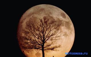 Луна — Древреперсидский сонник Тафлиси