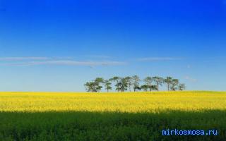 Лето — Украинский сонник Лето — Украинский сонник