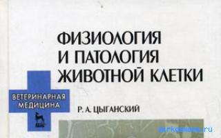 Гриф — Цыганский сонник Гриф — Цыганский сонник