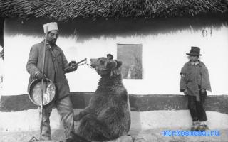 Болезнь — Цыганский сонник Болезнь — Цыганский сонник
