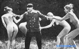Сливы — Цыганский сонник Сливы — Цыганский сонник