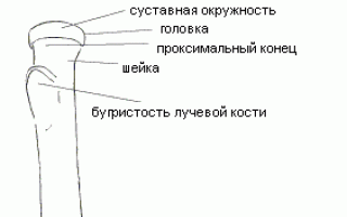 Кости — Эзотерический сонник Кости — Эзотерический сонник