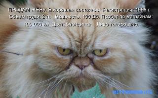 Хорошить — Египетский сонник фараонов Хорошить — Египетский сонник фараонов
