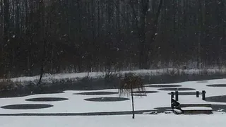 Загадочные круги правильной формы на Озере США