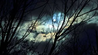 Размеры Луны на этой неделе визуально уменьшатся