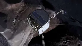 Малыш «Филы» может «проснуться» уже завтра