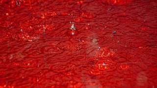 Загадка кровавого дождя в Индии