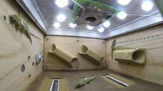 Хладнокровные космонавты резвились в невесомости