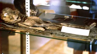 Сенсационную фотографию показали в Мексике