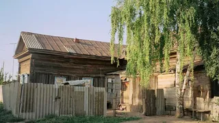 Аномальная зона в селе Красный Яр, уничтожающая домашних животных