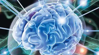 Определение понятия «дежавю»