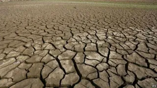 Ученые утверждают – наша планета вступила в сверхновую форму вымирания