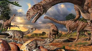 Исследователи древности обнаружили массовое скопление останков, возраст которых превышает 400 миллионов лет