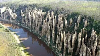 На территории Якутии ученые обнаружили загадочную окаменелость