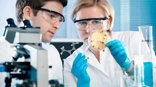 Кабмин одобрил оргкомитет для подготовки ассамблеи по изучению космоса