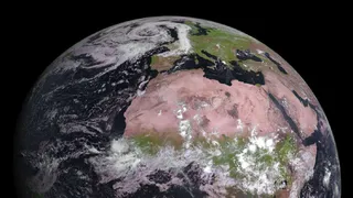 Европейский погодный спутник выполнил высококачественные снимки тропической зоны Африки и лесов Европы