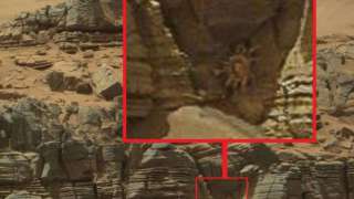 На одной из фотографий поверхности Марса обнаружено существо, сильно напоминающее земного краба