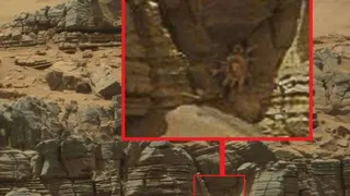 На одной из фотографий поверхности Марса обнаружено существо, сильно напоминающее земного краба