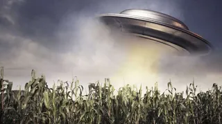  Бельгийцы в прошлом году 250 раз сообщали, что видели НЛО