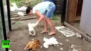 В уничтожении домашней птицы жители Давыдовки обвиняют чупакабру