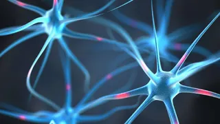 Определенные музыкальные жанры могут облегчить жизнь эпилептикам 