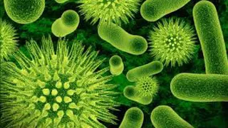 Ученым удалось воскресить древние вирусы, которые будут использоваться в медицинских целях