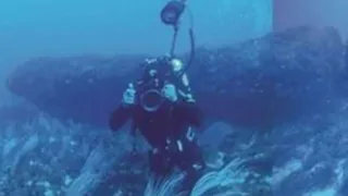В глубинах Средиземного моря обнаружили загадочное монолитное сооружение