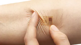 Кожу человека можно использовать в качестве сенсорной панели