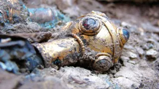 В Ростовской области нашли древнейшее захоронение, принадлежавшее сарматам