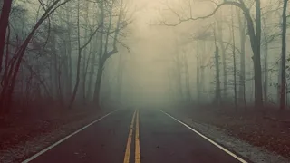 Тайны туманов