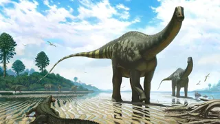 Немецкие палеонтологи обнаружили останки огромного 30-тонного доисторического животного