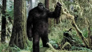 Видеозапись со «снежным человеком» стала сенсационной новостью