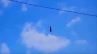 Неопознанный «Черный рыцарь» над Флоридой