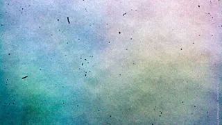 Домашняя пыль является целым живым мегаполисом, состоящим из 9000 микроорганизмов