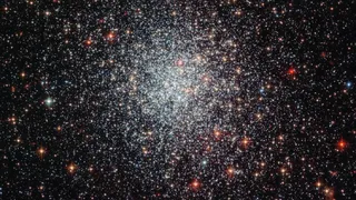 С помощью «Хаббла» удалось получить новые фотоснимки скопления звезд «NGC1783»