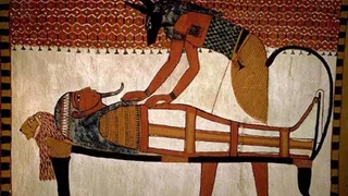 Медицинская загадка: древнеегипетская хирургия