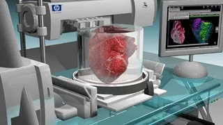 Новый аппарат для перевозки органов позволит сохранить их работоспособность дольше