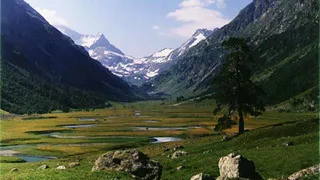 Таинственная долина «Джатинга» (Индия)