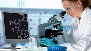 Основные причины смертности в мире