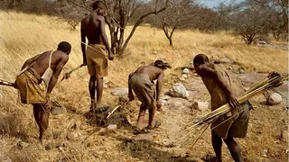 Дикое племя Догонов знало о космосе практически все задолго до ученых 