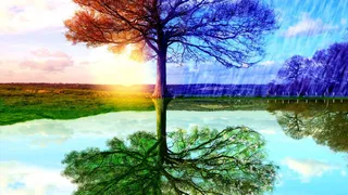 Время рождения человека отображается на его характере