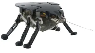 Калининградские инженеры создали робота-разведчика, которого назвали «Тараканом» из-за внешнего сходства