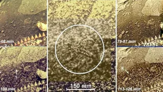 Фотографии с Венеры демонстрируют наличие на ней жизни