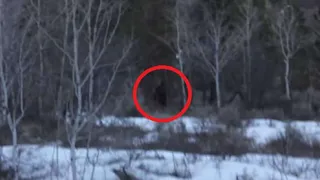 Очевидец заснял «снежного человека» в штате Юта
