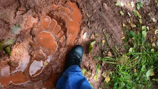 В Братске нашли огромный след и сломанные ветки