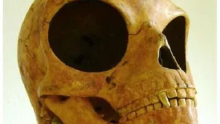 Силендский череп